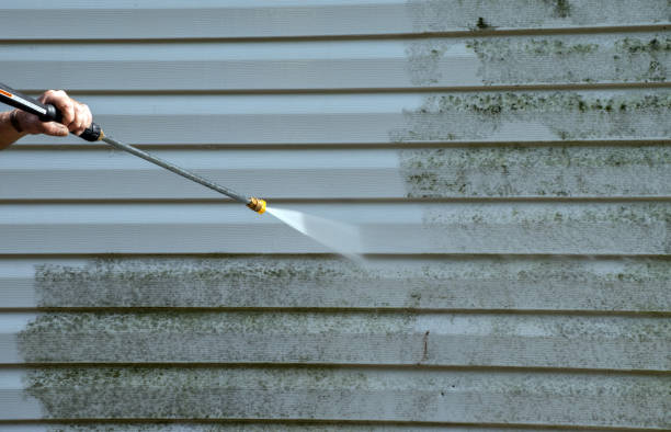 Animal Enclosure Cleaning in Lakeland, TN